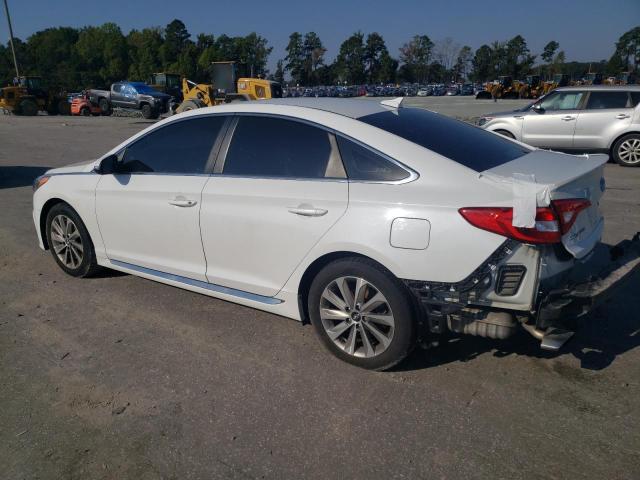 Photo 1 VIN: 5NPE34AF1GH401397 - HYUNDAI SONATA SPO 