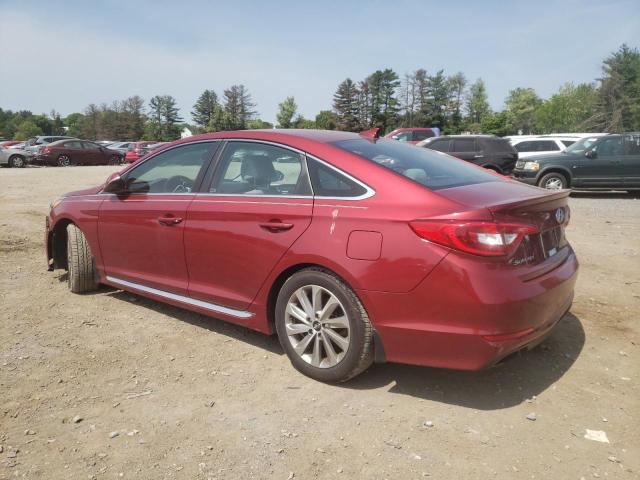 Photo 1 VIN: 5NPE34AF1GH426381 - HYUNDAI SONATA SPO 