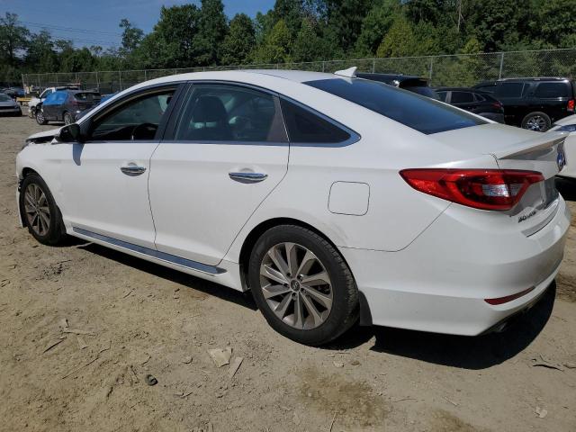 Photo 1 VIN: 5NPE34AF1HH451203 - HYUNDAI SONATA SPO 