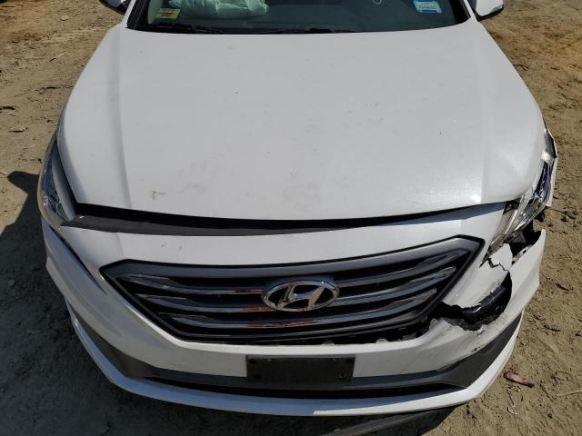 Photo 10 VIN: 5NPE34AF1HH451203 - HYUNDAI SONATA SPO 