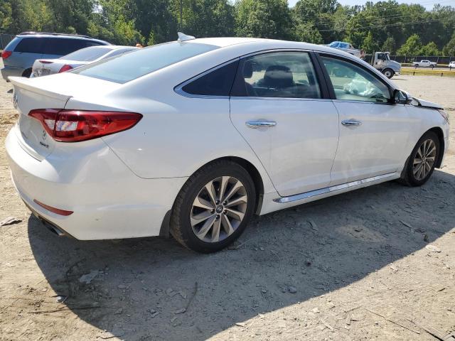 Photo 2 VIN: 5NPE34AF1HH451203 - HYUNDAI SONATA SPO 