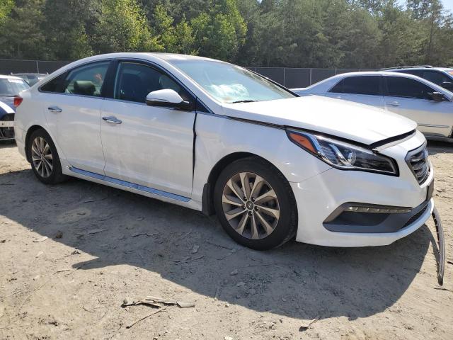 Photo 3 VIN: 5NPE34AF1HH451203 - HYUNDAI SONATA SPO 