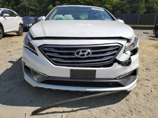 Photo 4 VIN: 5NPE34AF1HH451203 - HYUNDAI SONATA SPO 