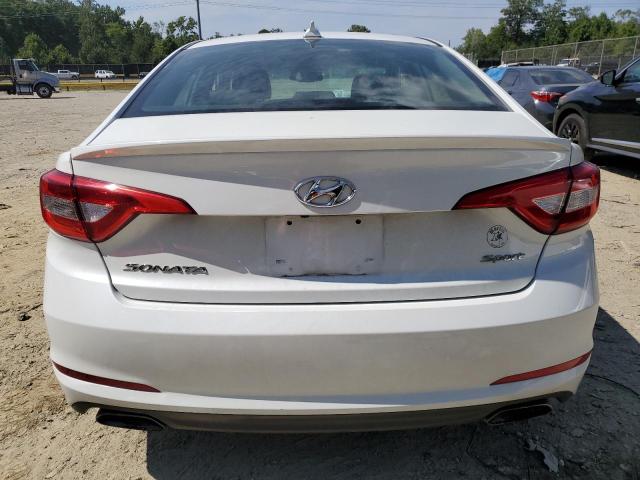 Photo 5 VIN: 5NPE34AF1HH451203 - HYUNDAI SONATA SPO 