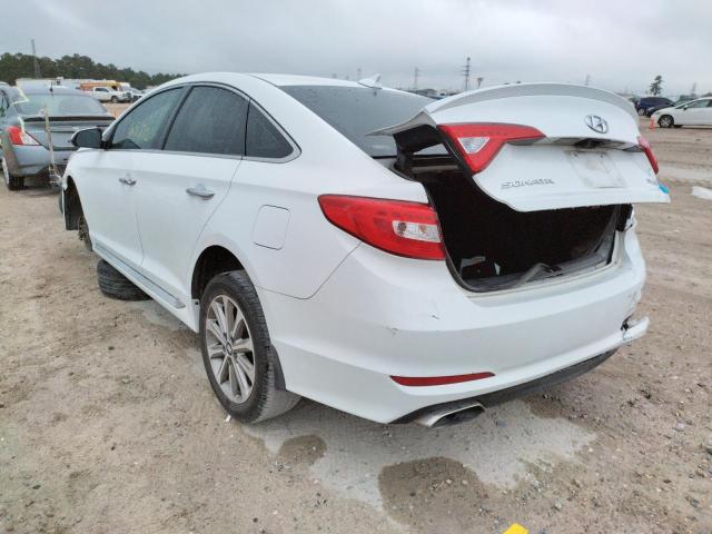 Photo 2 VIN: 5NPE34AF1HH481608 - HYUNDAI SONATA SPO 