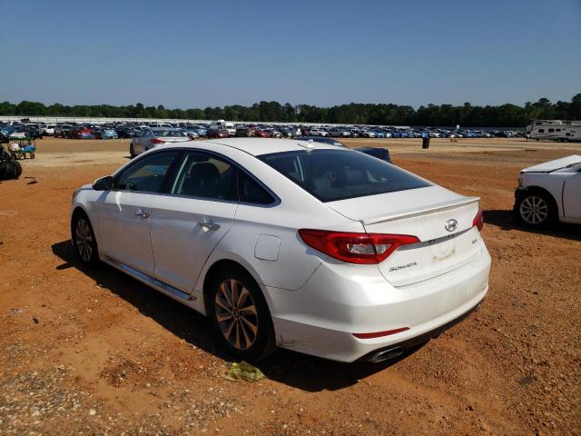 Photo 2 VIN: 5NPE34AF1HH489806 - HYUNDAI SONATA SPO 