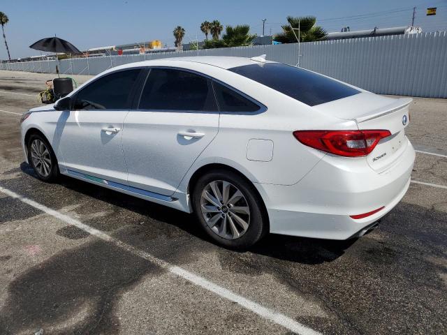 Photo 1 VIN: 5NPE34AF1HH556808 - HYUNDAI SONATA SPO 