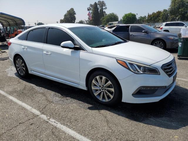 Photo 3 VIN: 5NPE34AF1HH556808 - HYUNDAI SONATA SPO 