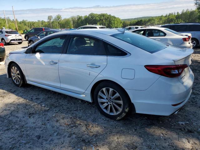 Photo 1 VIN: 5NPE34AF1HH593762 - HYUNDAI SONATA SPO 