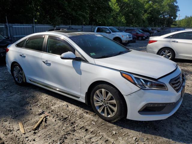 Photo 3 VIN: 5NPE34AF1HH593762 - HYUNDAI SONATA SPO 