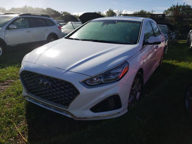 Photo 1 VIN: 5NPE34AF1KH746308 - HYUNDAI SONATA 