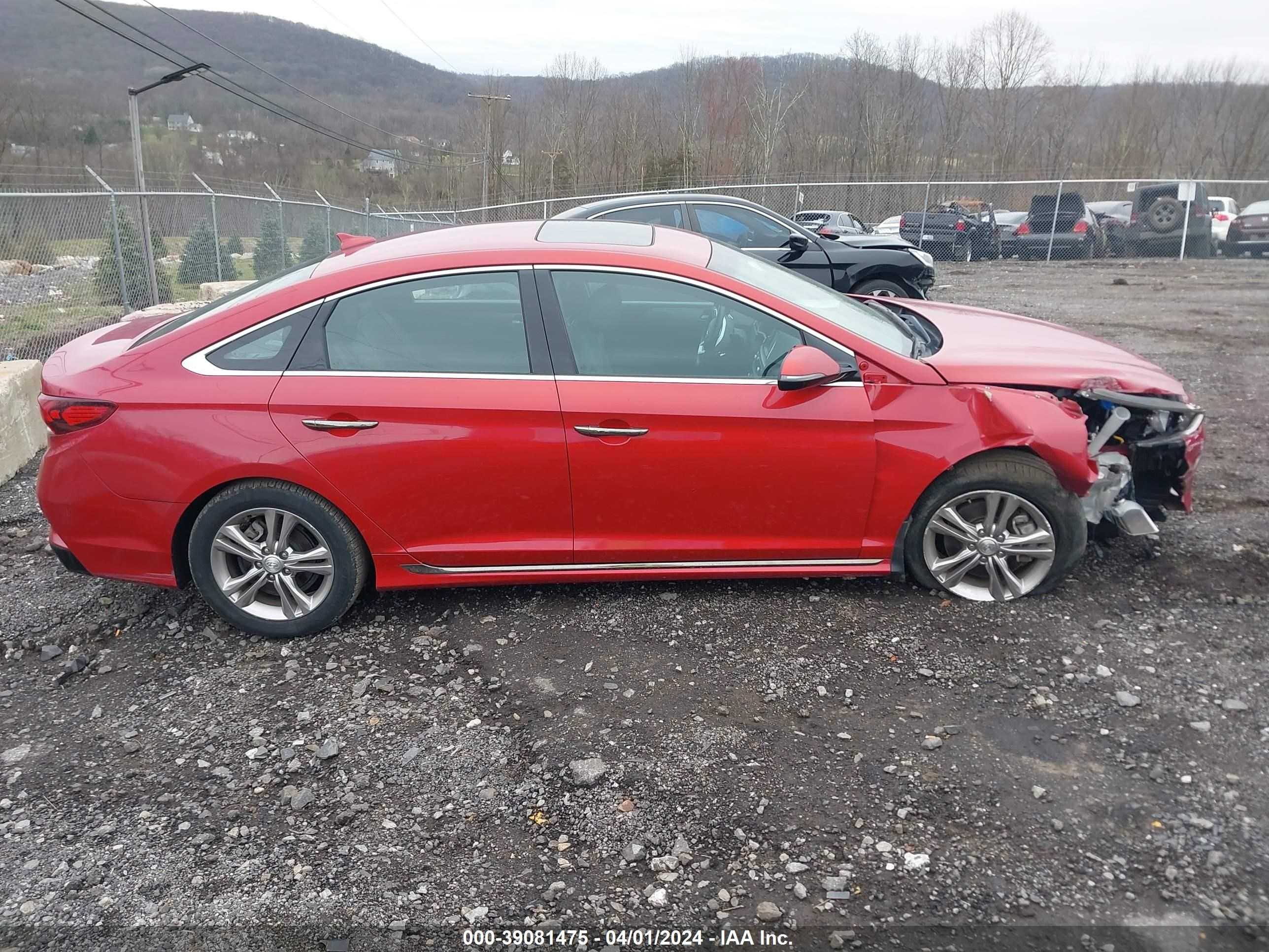 Photo 12 VIN: 5NPE34AF1KH748799 - HYUNDAI SONATA 