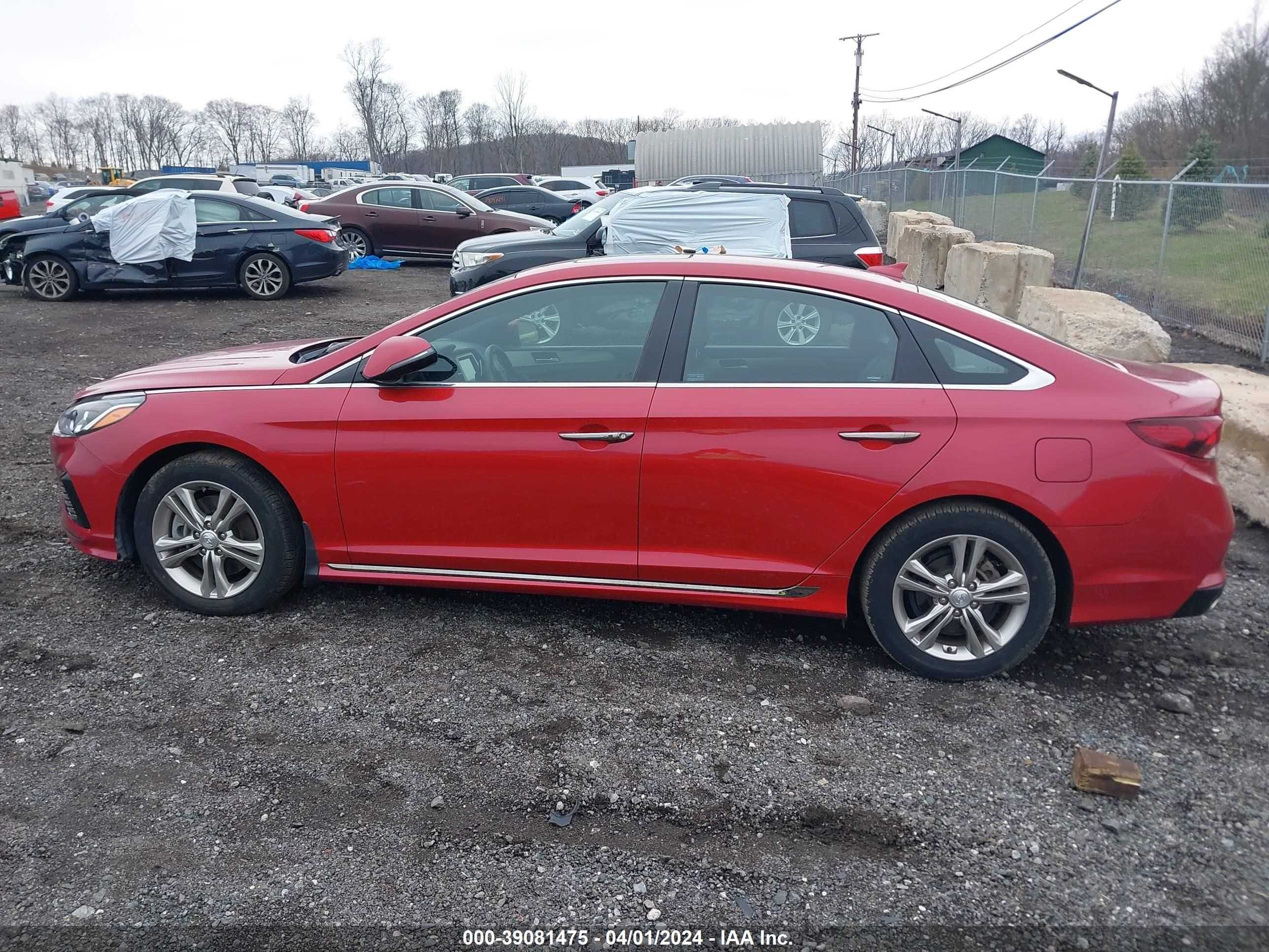 Photo 13 VIN: 5NPE34AF1KH748799 - HYUNDAI SONATA 