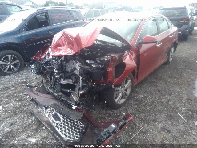 Photo 1 VIN: 5NPE34AF1KH785688 - HYUNDAI SONATA 