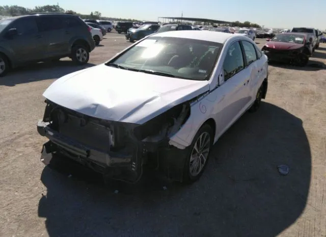 Photo 5 VIN: 5NPE34AF2FH049994 - HYUNDAI SONATA 