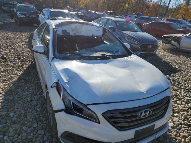 Photo 8 VIN: 5NPE34AF2FH062373 - HYUNDAI SONATA SPO 