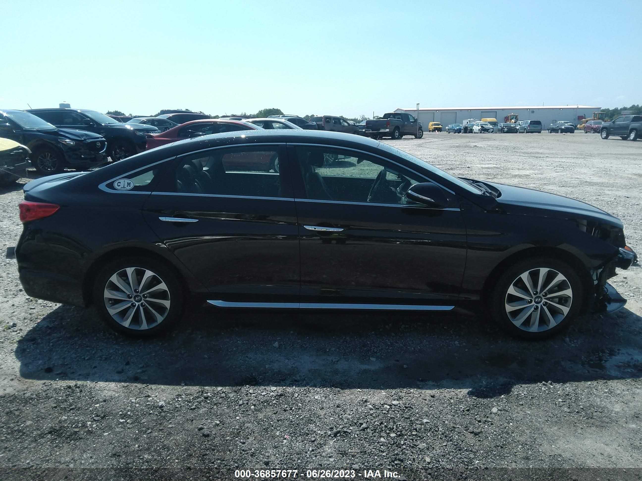 Photo 13 VIN: 5NPE34AF2GH311286 - HYUNDAI SONATA 