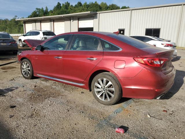 Photo 1 VIN: 5NPE34AF2GH317590 - HYUNDAI SONATA SPO 