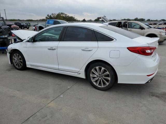 Photo 1 VIN: 5NPE34AF2GH397876 - HYUNDAI SONATA SPO 