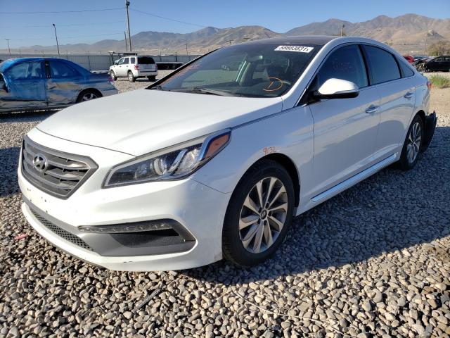 Photo 1 VIN: 5NPE34AF2GH434991 - HYUNDAI SONATA SPO 