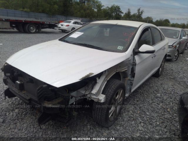 Photo 5 VIN: 5NPE34AF2JH603575 - HYUNDAI SONATA 