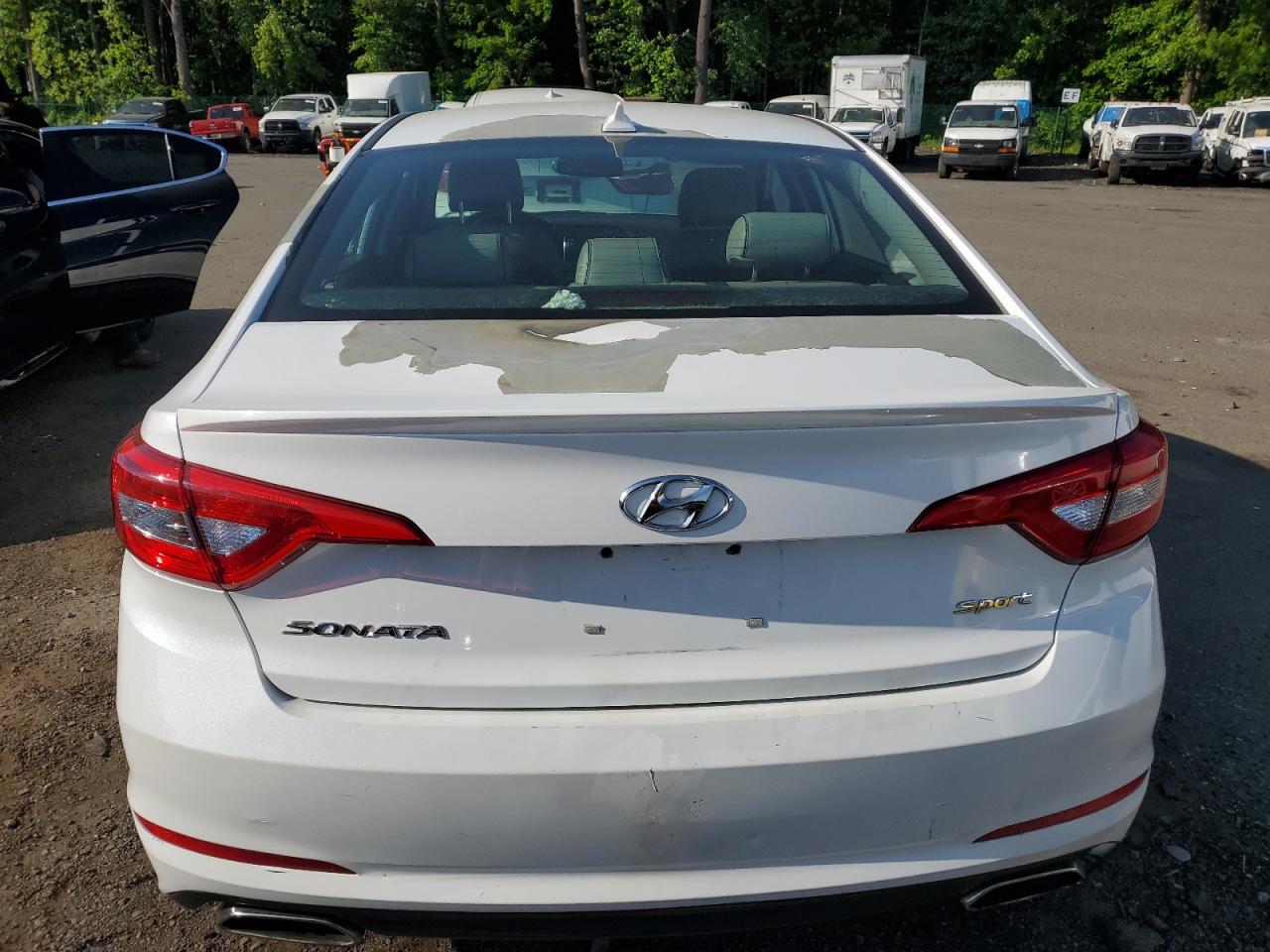 Photo 5 VIN: 5NPE34AF3FH131278 - HYUNDAI SONATA 