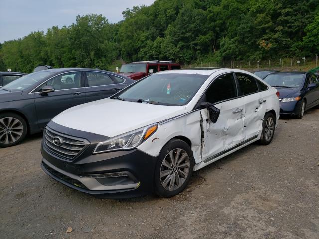 Photo 1 VIN: 5NPE34AF3GH401014 - HYUNDAI SONATA SPO 