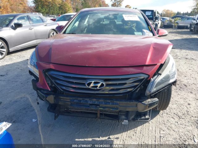 Photo 5 VIN: 5NPE34AF3GH423756 - HYUNDAI SONATA 