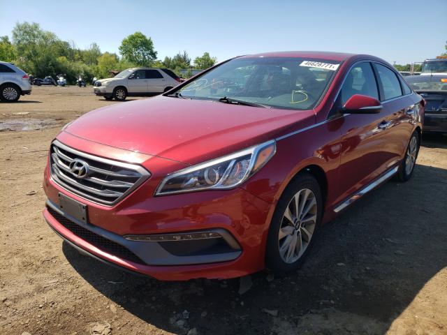 Photo 1 VIN: 5NPE34AF3GH431453 - HYUNDAI SONATA SPO 