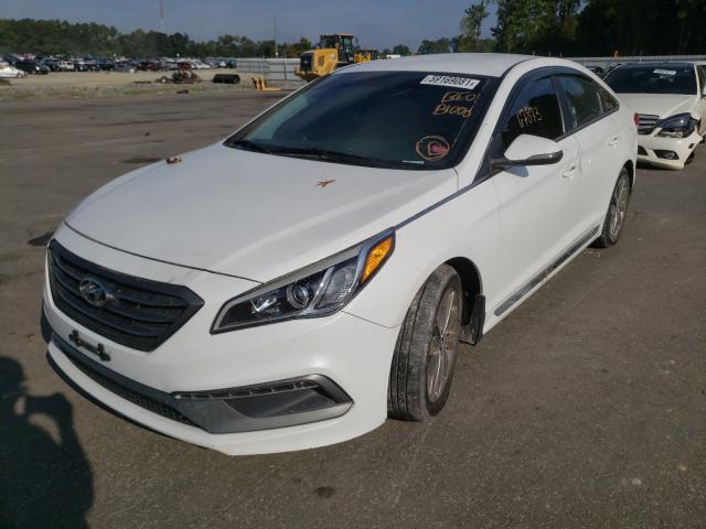 Photo 1 VIN: 5NPE34AF3HH442938 - HYUNDAI SONATA SPO 