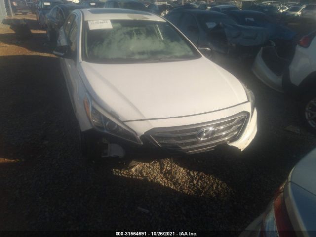 Photo 5 VIN: 5NPE34AF3HH467807 - HYUNDAI SONATA 