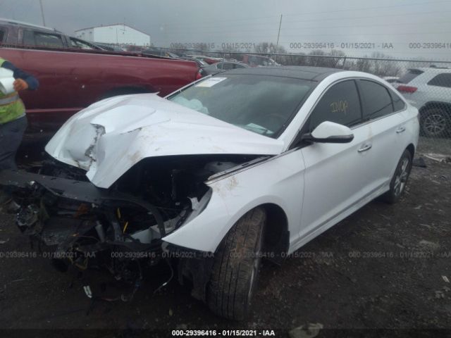 Photo 1 VIN: 5NPE34AF3KH798135 - HYUNDAI SONATA 