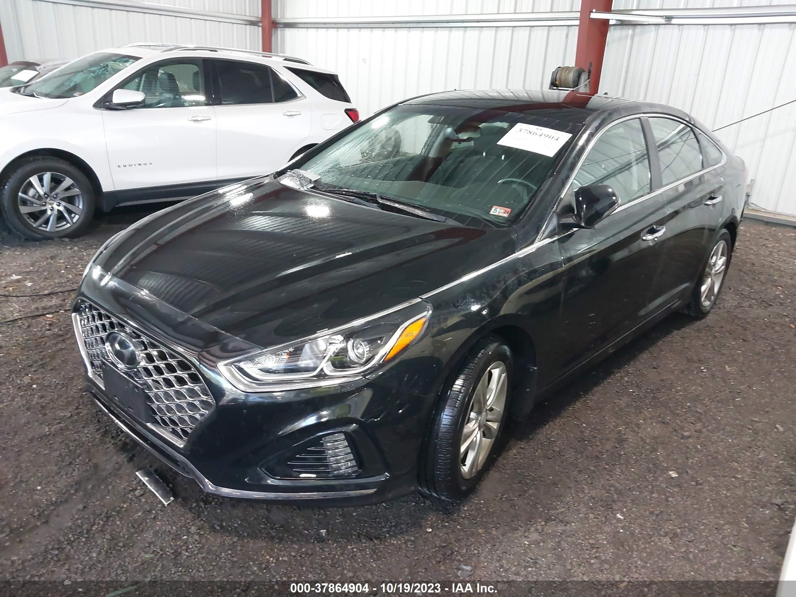 Photo 1 VIN: 5NPE34AF3KH809778 - HYUNDAI SONATA 