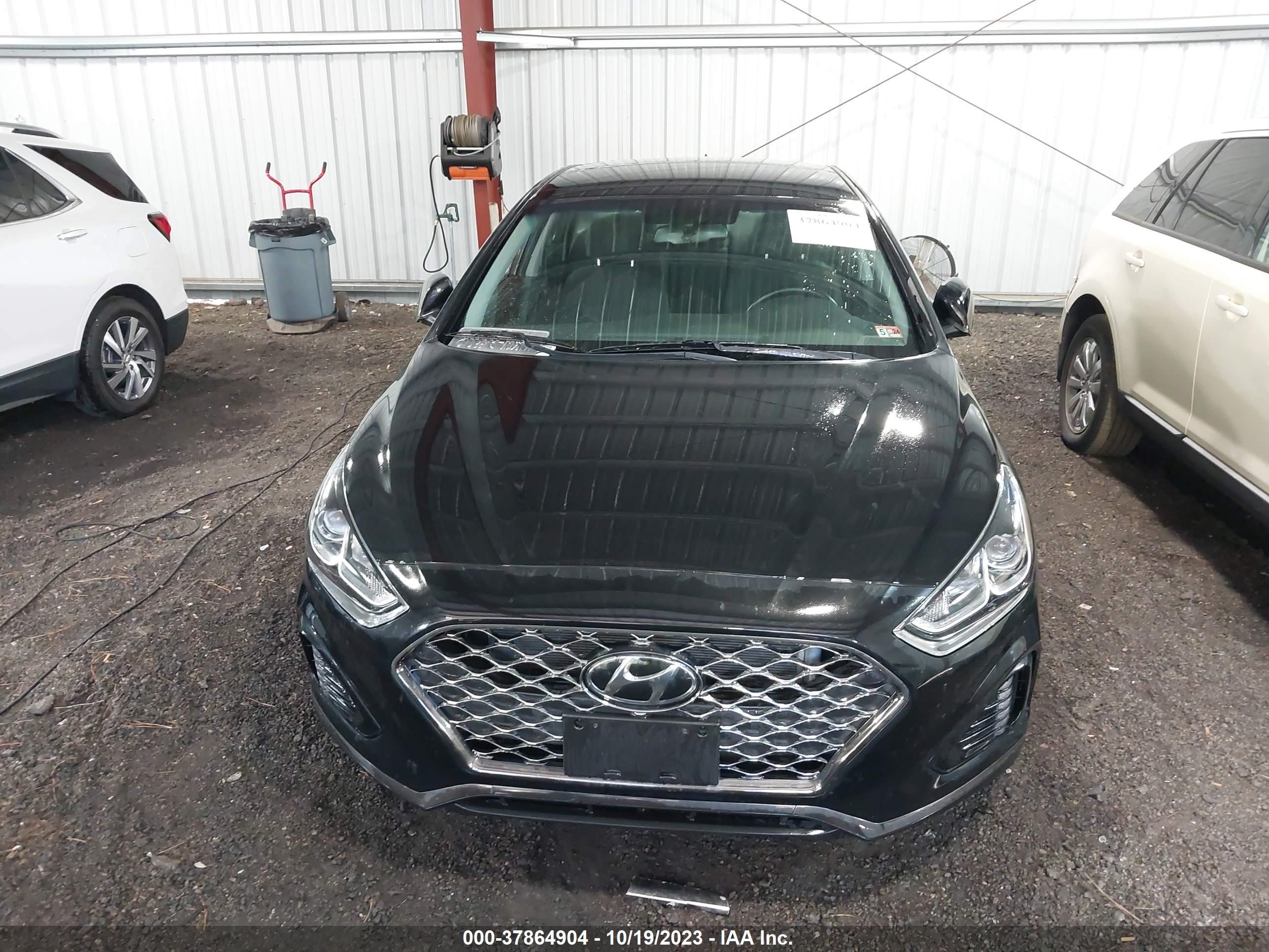 Photo 11 VIN: 5NPE34AF3KH809778 - HYUNDAI SONATA 