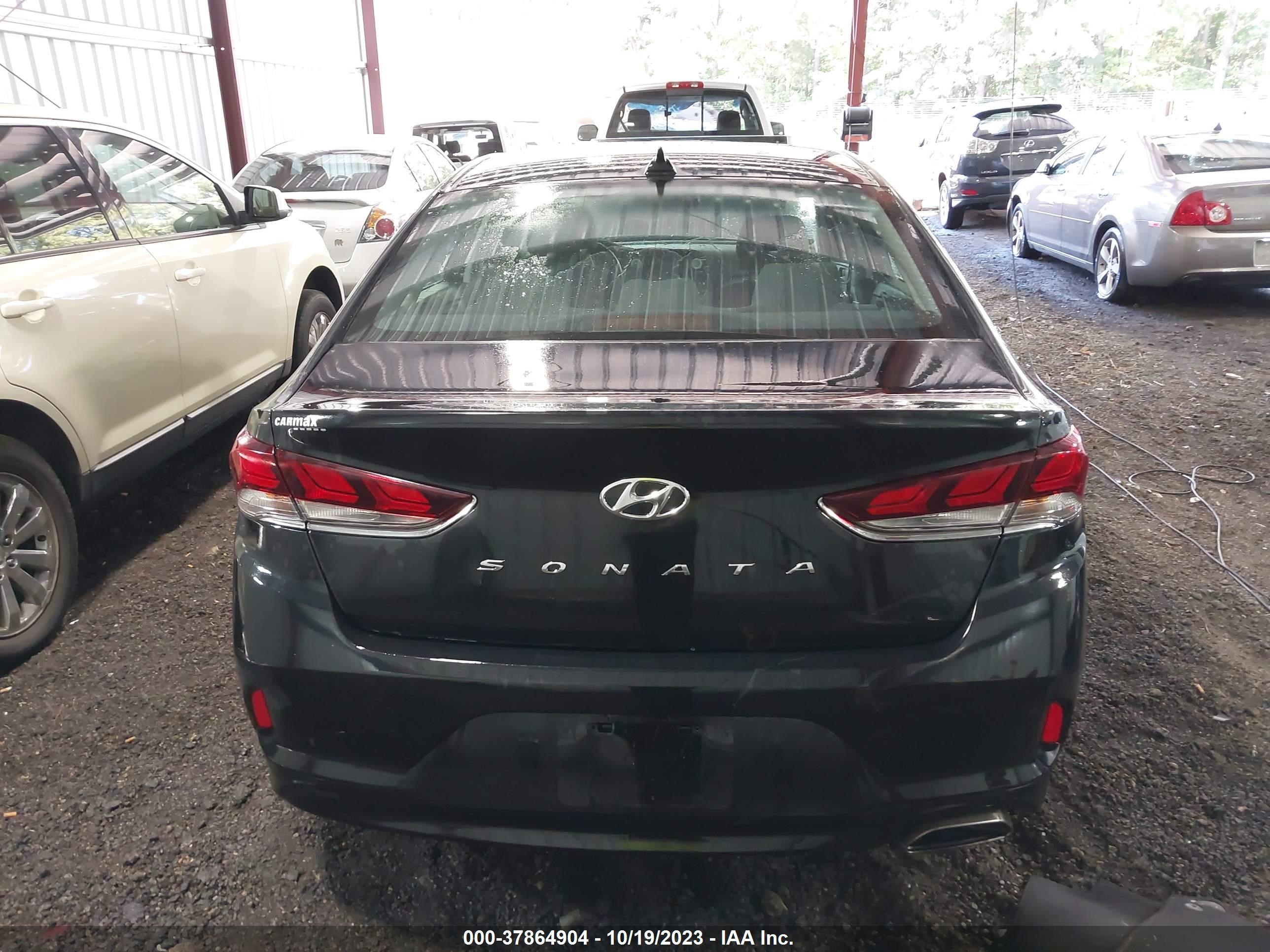 Photo 15 VIN: 5NPE34AF3KH809778 - HYUNDAI SONATA 