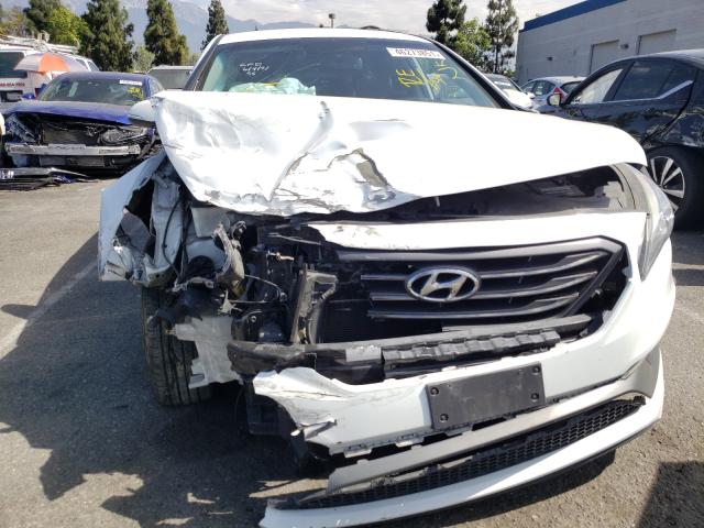 Photo 8 VIN: 5NPE34AF4FH077666 - HYUNDAI SONATA SPO 