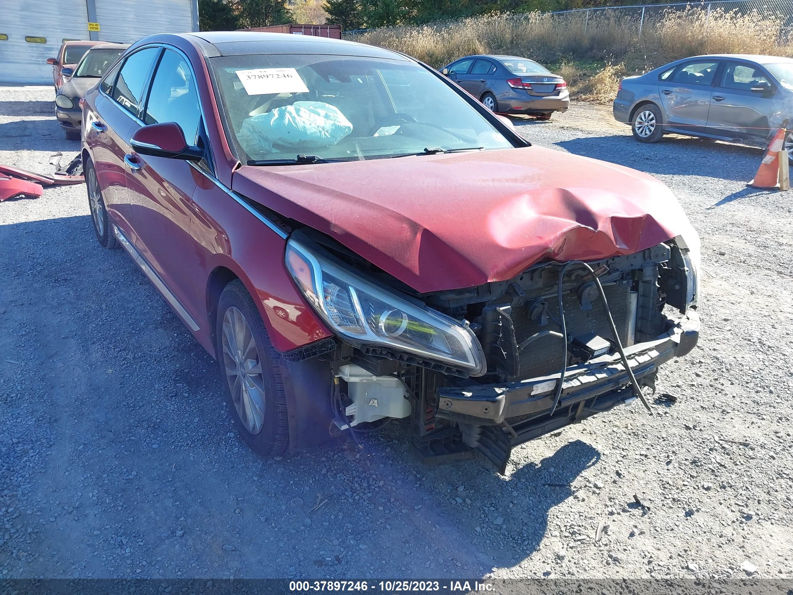 Photo 11 VIN: 5NPE34AF4FH106695 - HYUNDAI SONATA 