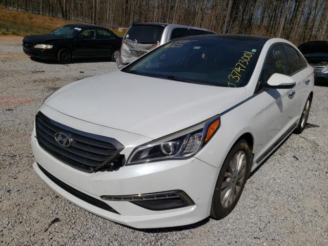 Photo 1 VIN: 5NPE34AF4FH169375 - HYUNDAI SONATA SPO 