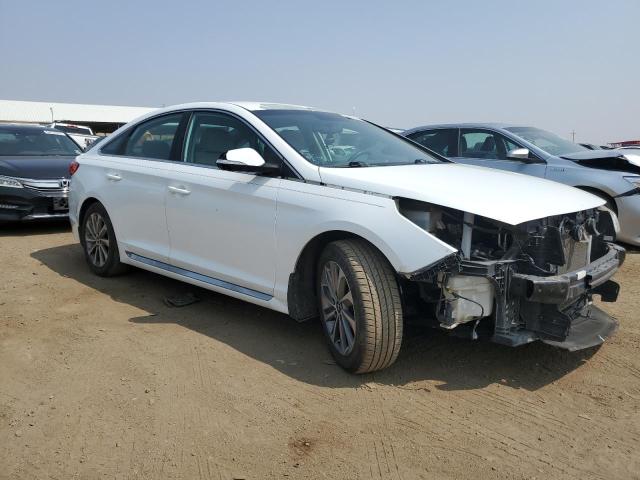 Photo 3 VIN: 5NPE34AF4GH278842 - HYUNDAI SONATA SPO 