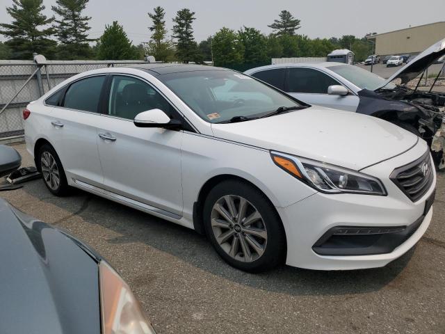 Photo 3 VIN: 5NPE34AF4GH291672 - HYUNDAI SONATA SPO 