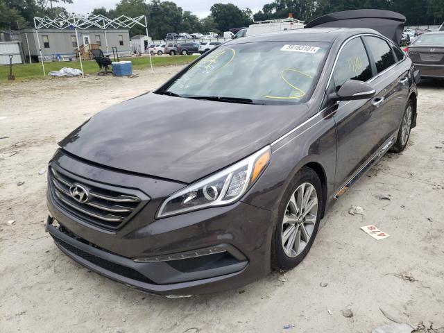 Photo 1 VIN: 5NPE34AF4GH336903 - HYUNDAI SONATA SPO 