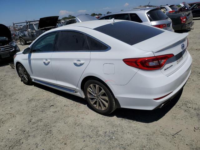 Photo 1 VIN: 5NPE34AF4GH342491 - HYUNDAI SONATA SPO 