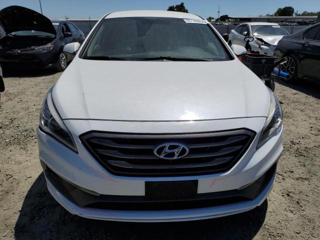 Photo 4 VIN: 5NPE34AF4GH342491 - HYUNDAI SONATA SPO 