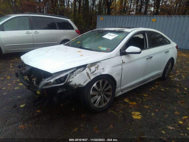 Photo 1 VIN: 5NPE34AF4HH465581 - HYUNDAI SONATA 