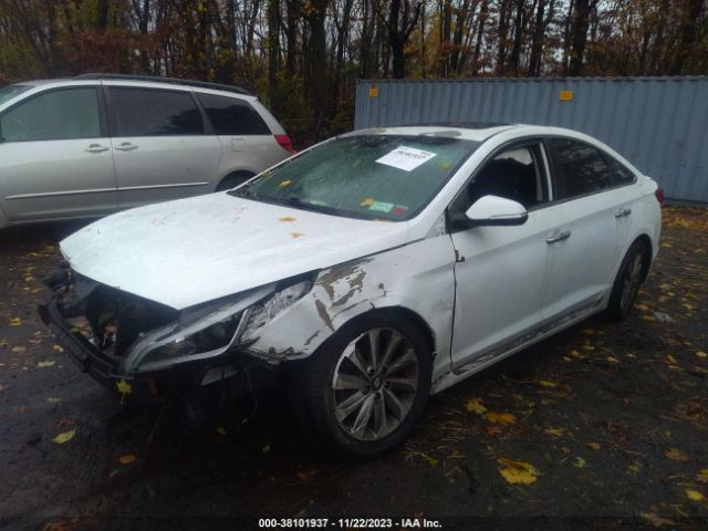 Photo 5 VIN: 5NPE34AF4HH465581 - HYUNDAI SONATA 