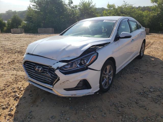 Photo 1 VIN: 5NPE34AF4JH618501 - HYUNDAI SONATA SPO 