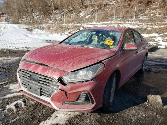 Photo 1 VIN: 5NPE34AF4JH649375 - HYUNDAI SONATA SPO 