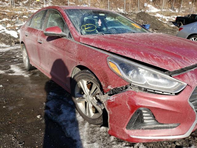 Photo 8 VIN: 5NPE34AF4JH649375 - HYUNDAI SONATA SPO 