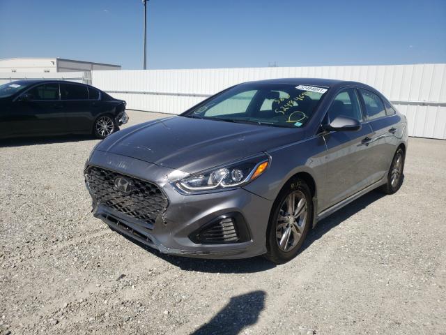 Photo 1 VIN: 5NPE34AF4JH706237 - HYUNDAI SONATA SPO 