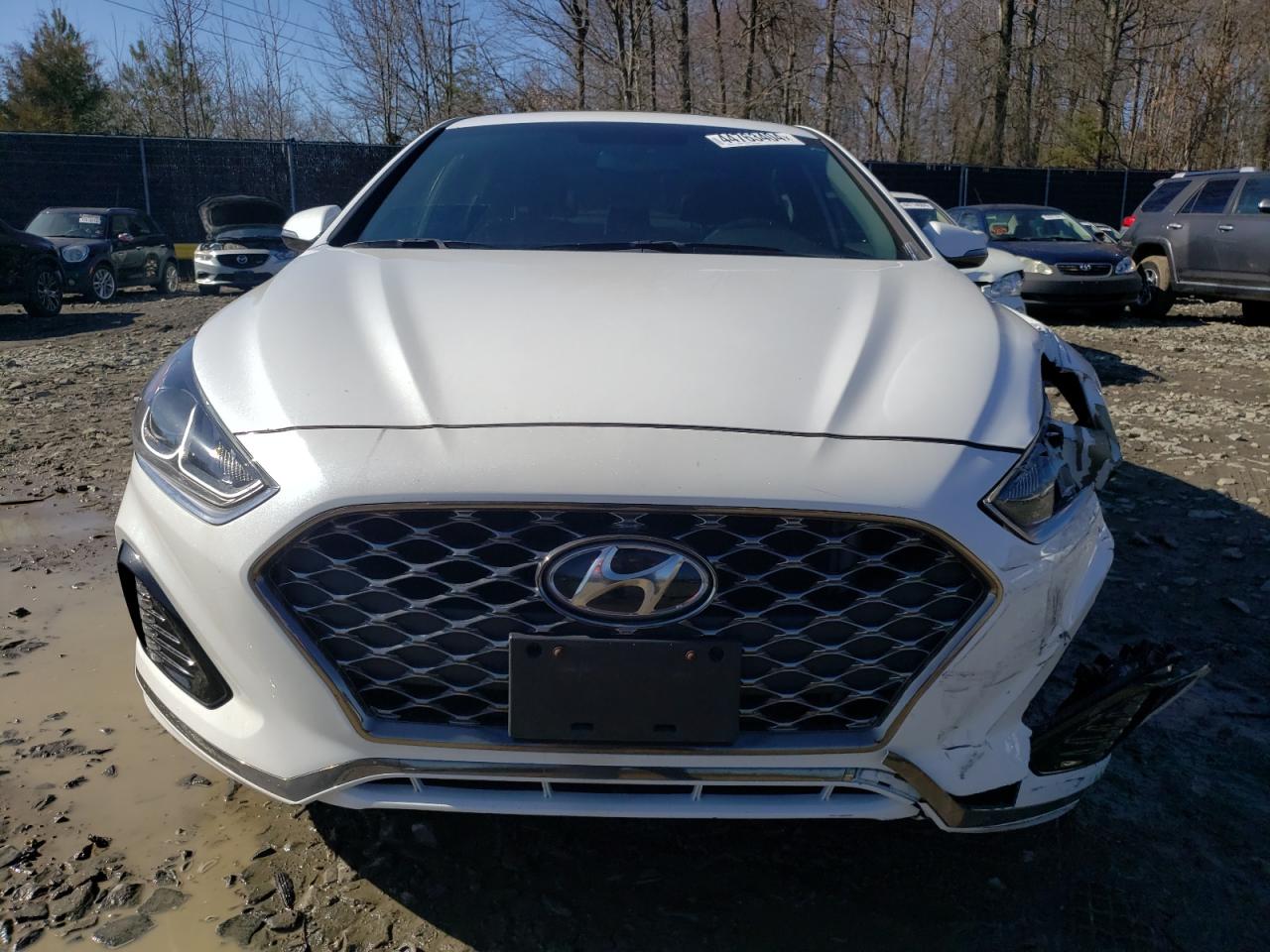 Photo 4 VIN: 5NPE34AF4KH821048 - HYUNDAI SONATA 